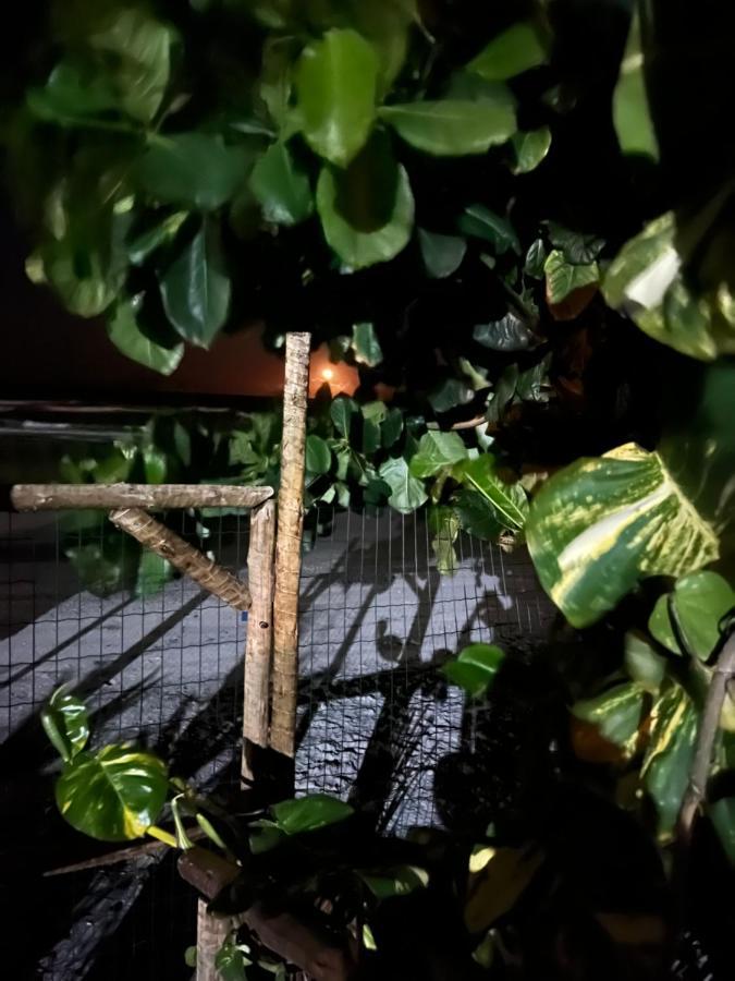 Vila Dos Gnomos Paraiso Mistico Pe Na Areia Ilheus Luaran gambar